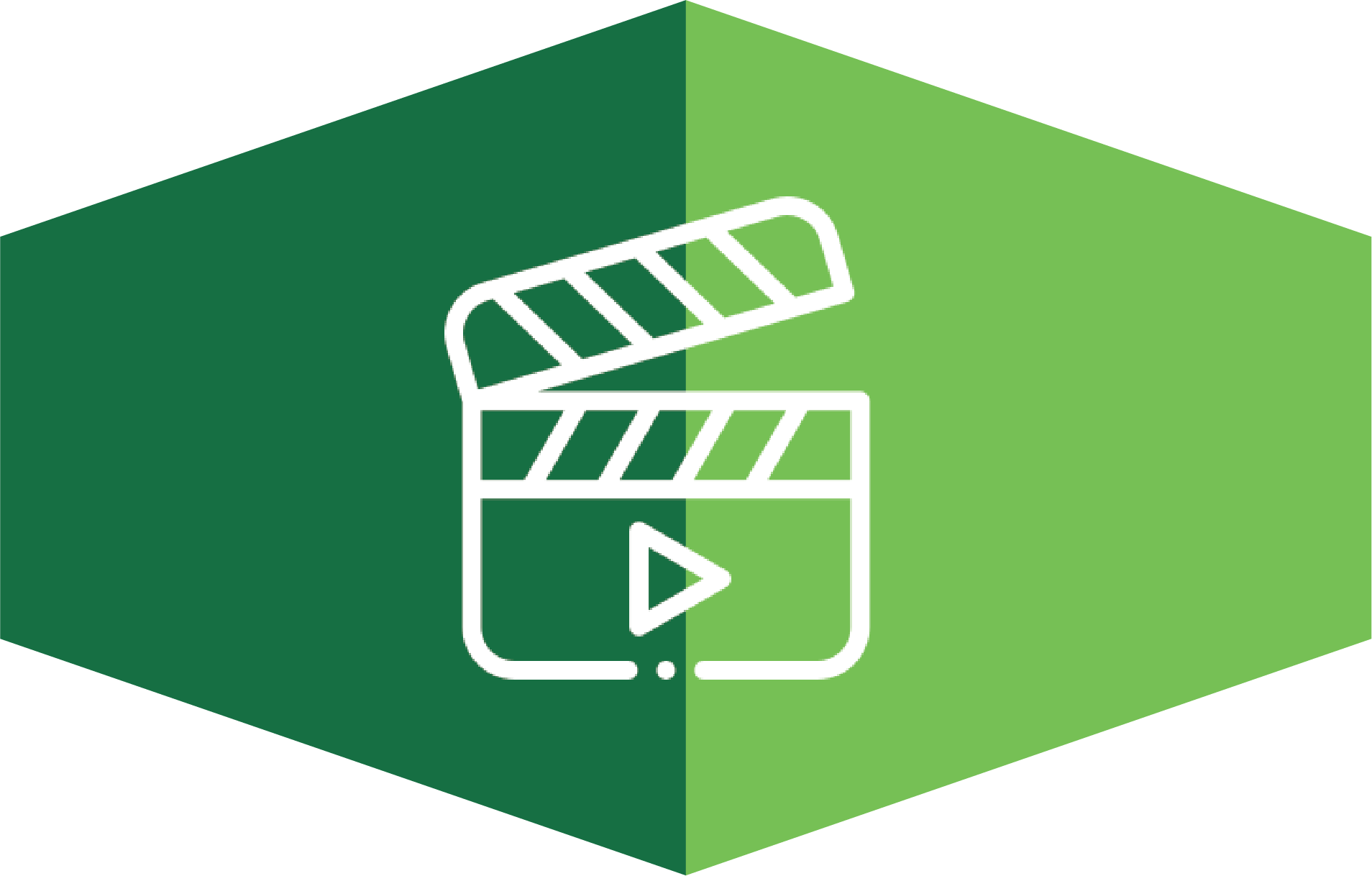 vve 010 video