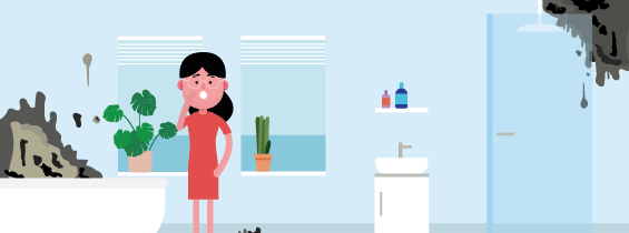 11 vocht en schimmel in mijn koopwoning wat kan ik doen vve010