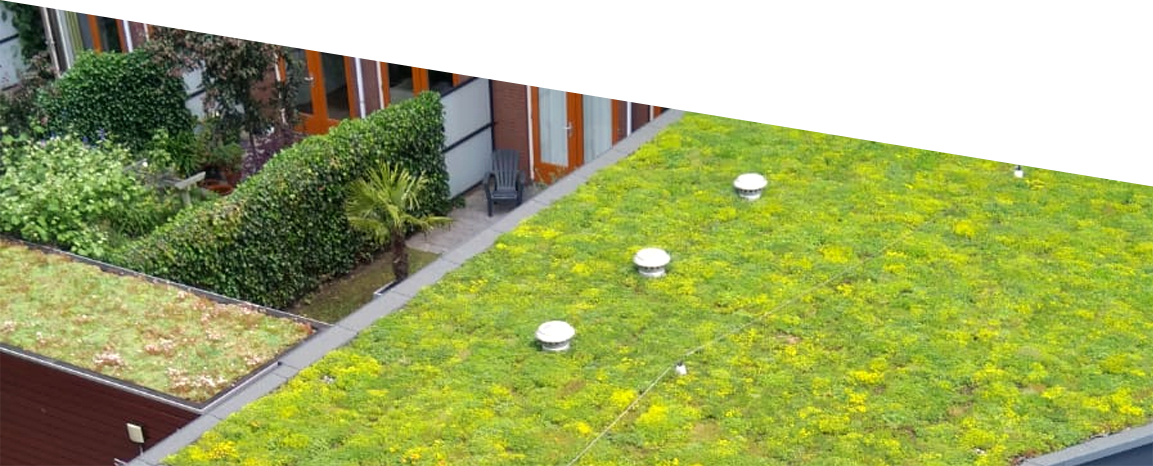 vve010 daktuinen bergsingel slot