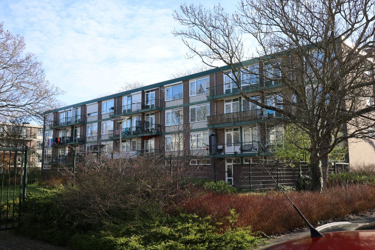 zuidwijk indebuurt steenvlinder3