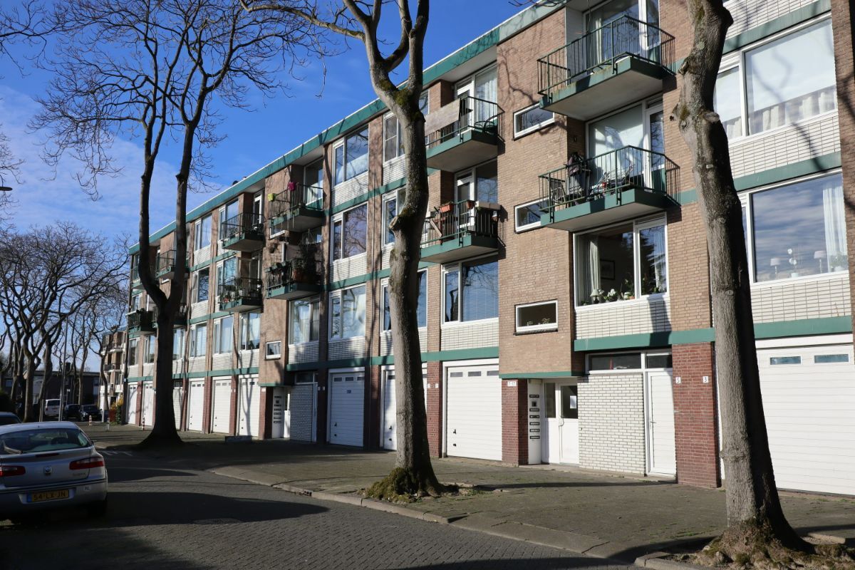 zuidwijk indebuurt steenvlinder4